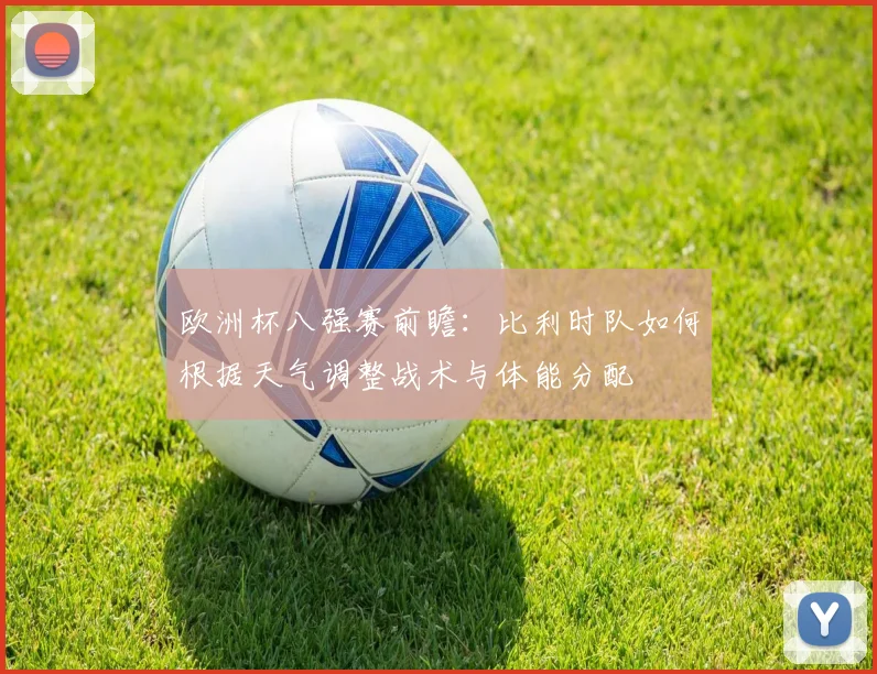 欧洲杯八强赛前瞻：比利时队如何根据天气调整战术与体能分配