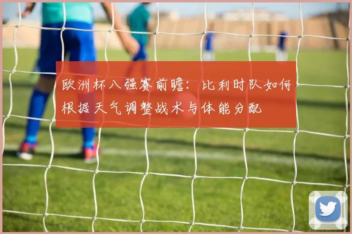 欧洲杯八强赛前瞻：比利时队如何根据天气调整战术与体能分配