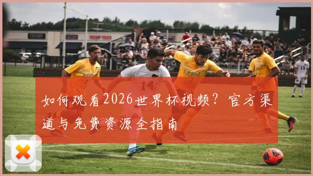 如何观看2026世界杯视频？官方渠道与免费资源全指南